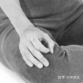 Ultimate Guide! Best Meditation Sitting Positions for Beginners: Complete Guide with Proper Posture Techniques