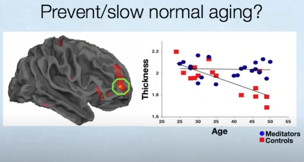 ​Is Meditation Real? Harvard Study Reveals 5 Brain Changes — The MRI-Scanned Truth!